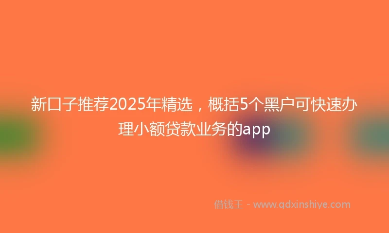 新口子推荐2025年精选，概括5个黑户可快速办理小额贷款业务的app