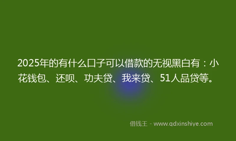 2025年的有什么口子可以借款的无视黑白有：小花钱包、还呗、功夫贷、我来贷、51人品贷等。