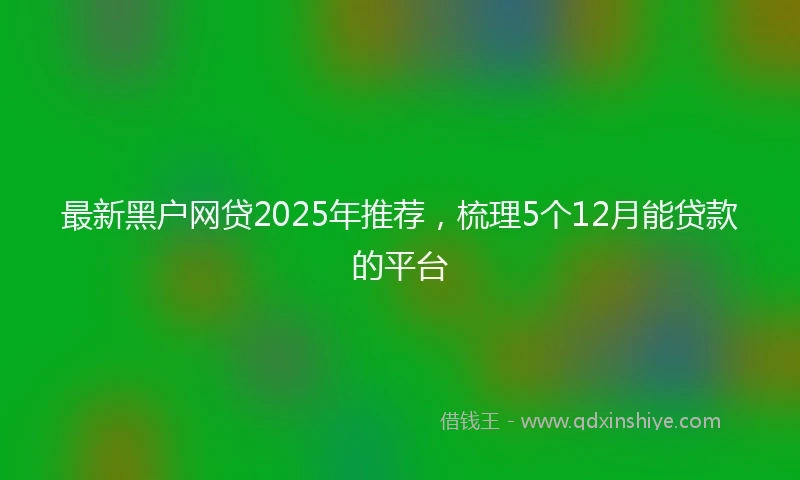 最新黑户网贷2025年推荐，梳理5个12月能贷款的平台