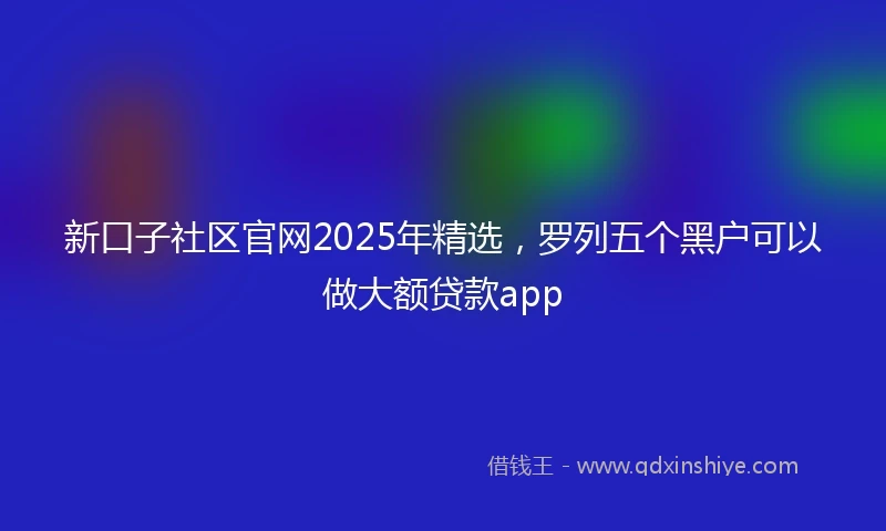 新口子社区官网2025年精选，罗列五个黑户可以做大额贷款app