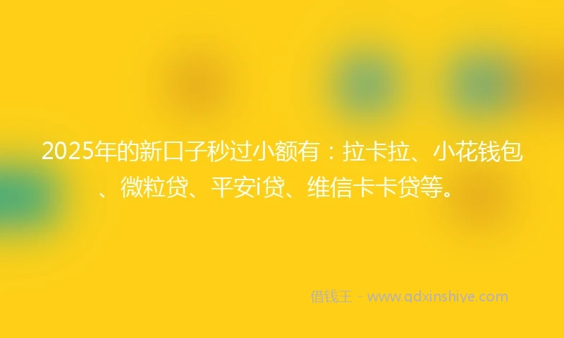 2025年的新口子秒过小额有：拉卡拉、小花钱包、微粒贷、平安i贷、维信卡卡贷等。