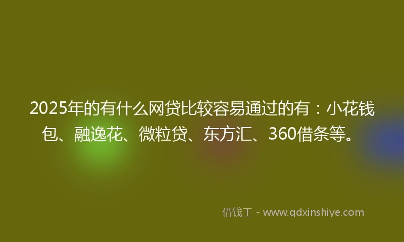 2025年的有什么网贷比较容易通过的有：小花钱包、融逸花、微粒贷、东方汇、360借条等。