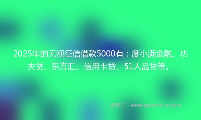 2025年的无视征信借款5000有：度小满金融、功夫贷、东方汇、信用卡贷、51人品贷等。