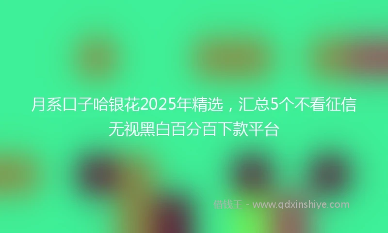 月系口子哈银花2025年精选，汇总5个不看征信无视黑白百分百下款平台