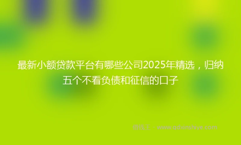 最新小额贷款平台有哪些公司2025年精选，归纳五个不看负债和征信的口子