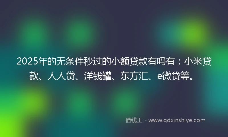2025年的无条件秒过的小额贷款有吗有：小米贷款、人人贷、洋钱罐、东方汇、e微贷等。