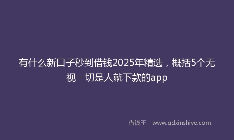 有什么新口子秒到借钱2025年精选，概括5个无视一切是人就下款的app