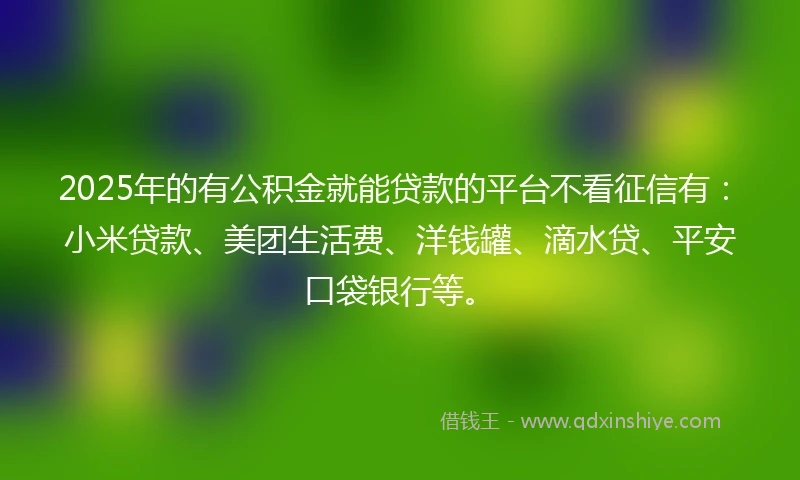 2025年的有公积金就能贷款的平台不看征信有：小米贷款、美团生活费、洋钱罐、滴水贷、平安口袋银行等。