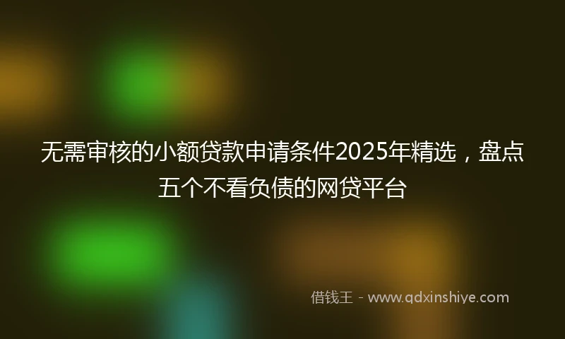 无需审核的小额贷款申请条件2025年精选，盘点五个不看负债的网贷平台