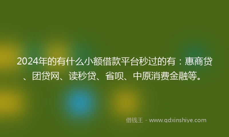 2024年的有什么小额借款平台秒过的有：惠商贷、团贷网、读秒贷、省呗、中原消费金融等。