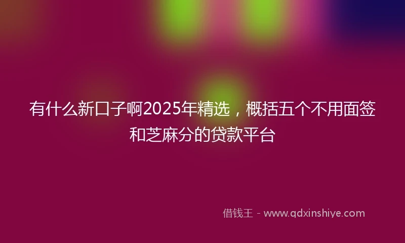 有什么新口子啊2025年精选，概括五个不用面签和芝麻分的贷款平台