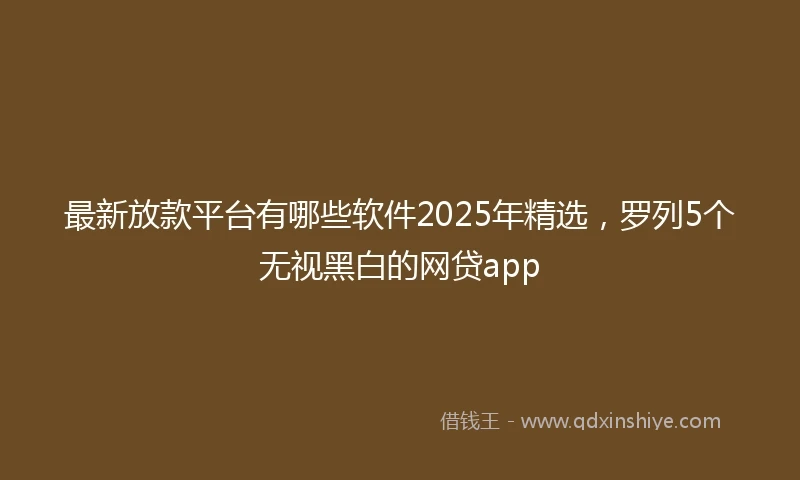 最新放款平台有哪些软件2025年精选，罗列5个无视黑白的网贷app