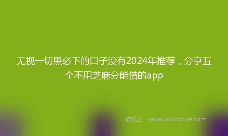 无视一切黑必下的口子没有2024年推荐，分享五个不用芝麻分能借的app