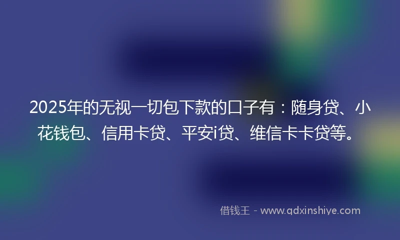 2025年的无视一切包下款的口子有：随身贷、小花钱包、信用卡贷、平安i贷、维信卡卡贷等。