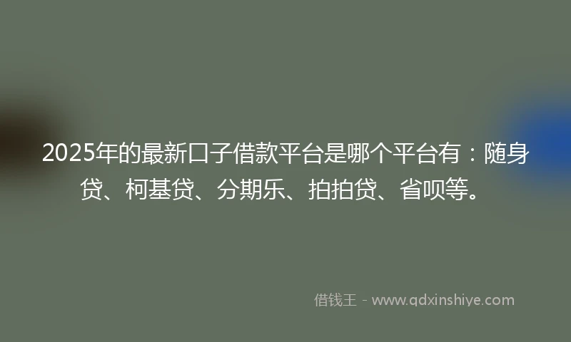 2025年的最新口子借款平台是哪个平台有：随身贷、柯基贷、分期乐、拍拍贷、省呗等。