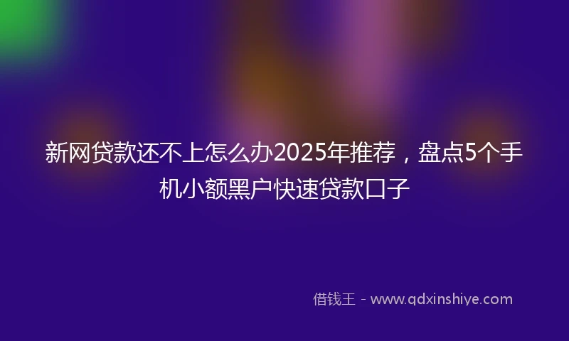 新网贷款还不上怎么办2025年推荐，盘点5个手机小额黑户快速贷款口子