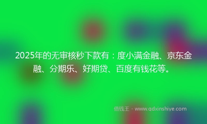 2025年的无审核秒下款有：度小满金融、京东金融、分期乐、好期贷、百度有钱花等。