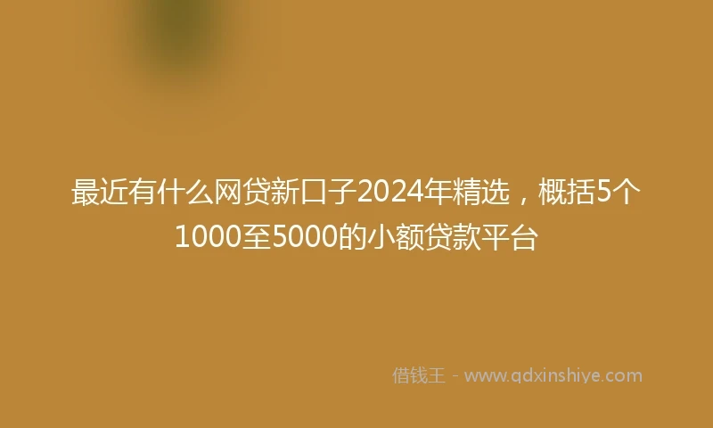 最近有什么网贷新口子2024年精选，概括5个1000至5000的小额贷款平台