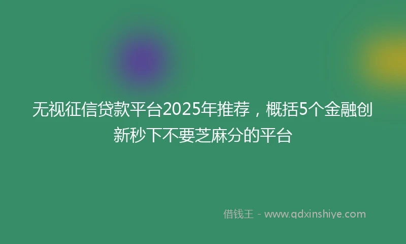 无视征信贷款平台2025年推荐，概括5个金融创新秒下不要芝麻分的平台