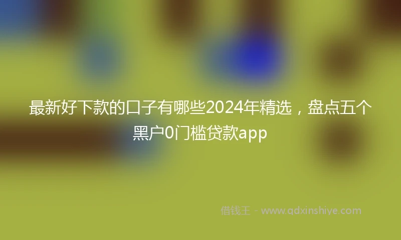 最新好下款的口子有哪些2024年精选，盘点五个黑户0门槛贷款app