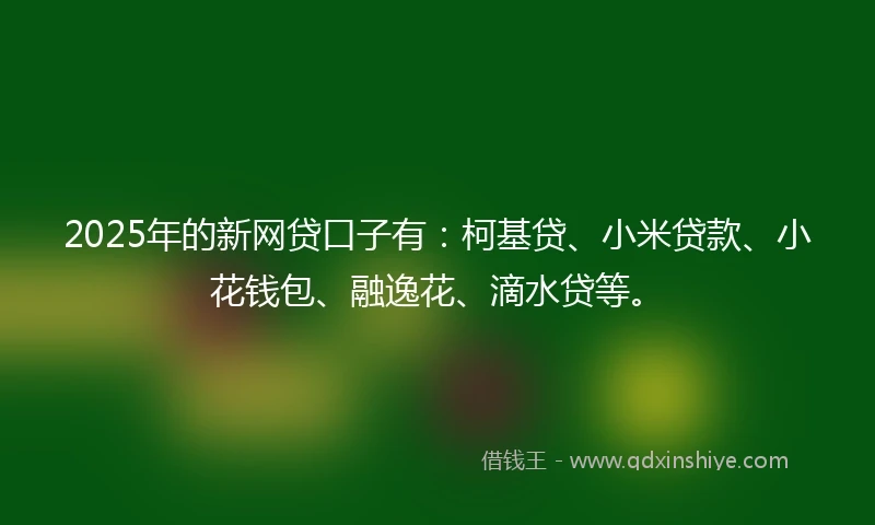 2025年的新网贷口子有：柯基贷、小米贷款、小花钱包、融逸花、滴水贷等。