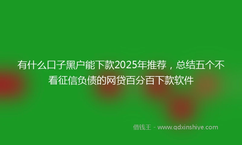 有什么口子黑户能下款2025年推荐，总结五个不看征信负债的网贷百分百下款软件