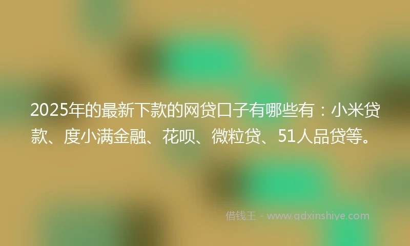 2025年的最新下款的网贷口子有哪些有：小米贷款、度小满金融、花呗、微粒贷、51人品贷等。