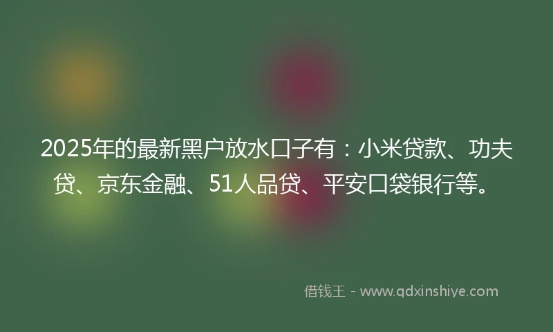 2025年的最新黑户放水口子有：小米贷款、功夫贷、京东金融、51人品贷、平安口袋银行等。