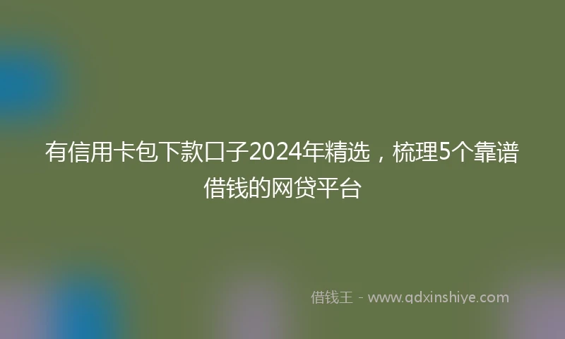 有信用卡包下款口子2024年精选，梳理5个靠谱借钱的网贷平台