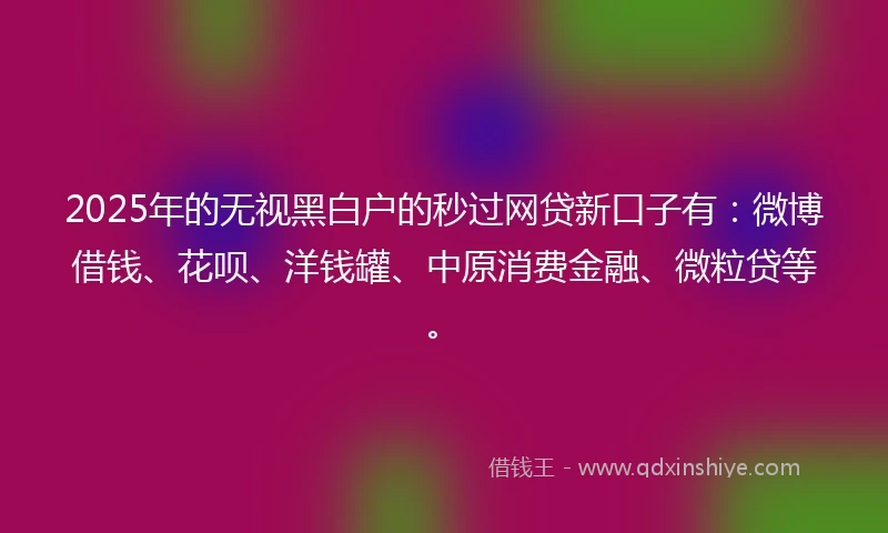 2025年的无视黑白户的秒过网贷新口子有：微博借钱、花呗、洋钱罐、中原消费金融、微粒贷等。