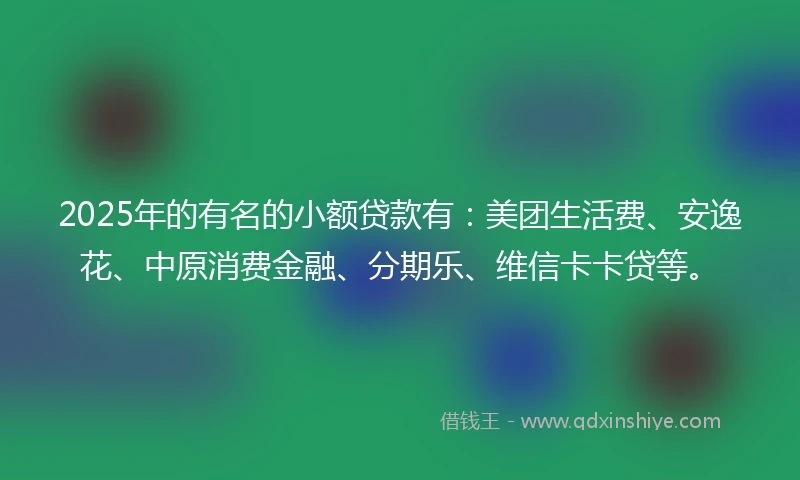 2025年的有名的小额贷款有：美团生活费、安逸花、中原消费金融、分期乐、维信卡卡贷等。