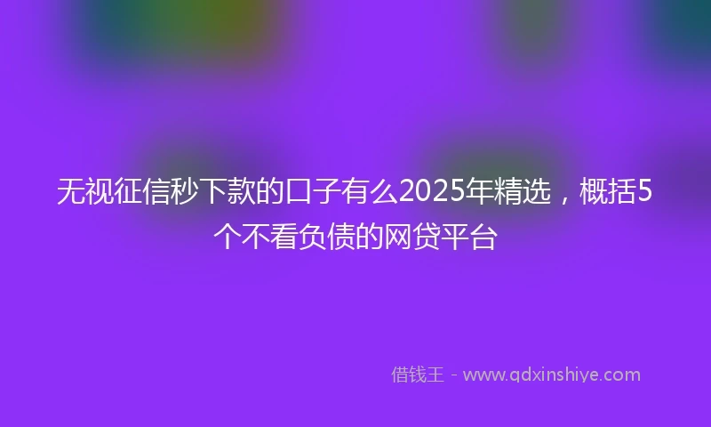 无视征信秒下款的口子有么2025年精选，概括5个不看负债的网贷平台