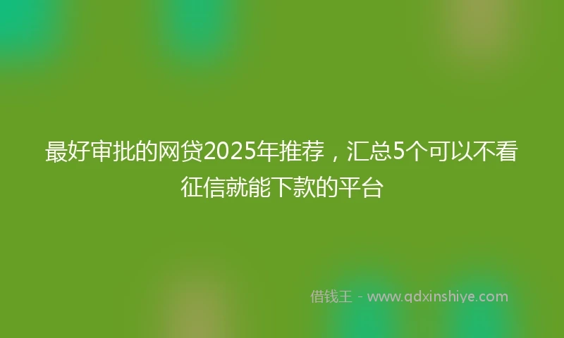 最好审批的网贷2025年推荐，汇总5个可以不看征信就能下款的平台