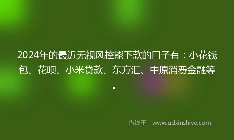 2024年的最近无视风控能下款的口子有：小花钱包、花呗、小米贷款、东方汇、中原消费金融等。
