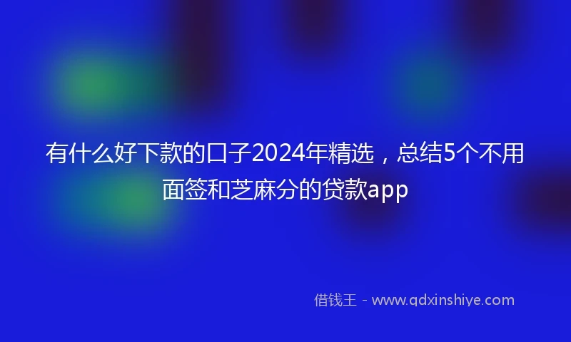 有什么好下款的口子2024年精选，总结5个不用面签和芝麻分的贷款app