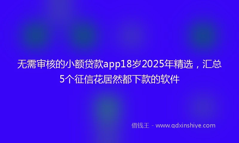无需审核的小额贷款app18岁2025年精选，汇总5个征信花居然都下款的软件