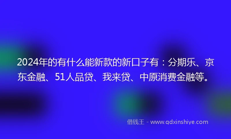 2024年的有什么能新款的新口子有：分期乐、京东金融、51人品贷、我来贷、中原消费金融等。