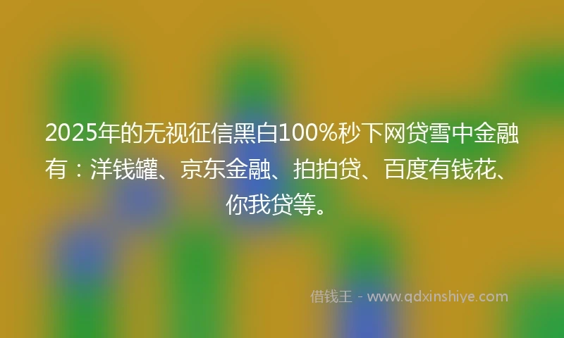 2025年的无视征信黑白100%秒下网贷雪中金融有：洋钱罐、京东金融、拍拍贷、百度有钱花、你我贷等。