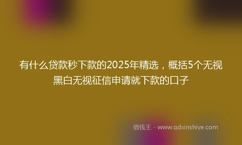 有什么贷款秒下款的2025年精选，概括5个无视黑白无视征信申请就下款的口子