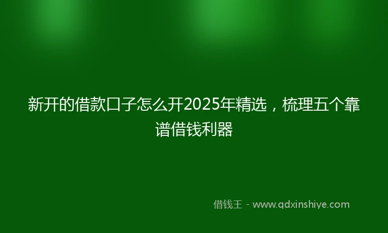 新开的借款口子怎么开2025年精选，梳理五个靠谱借钱利器