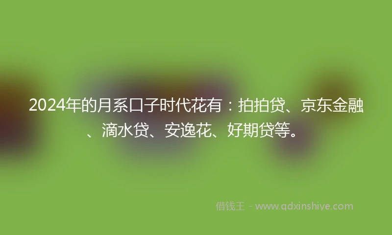 2024年的月系口子时代花有：拍拍贷、京东金融、滴水贷、安逸花、好期贷等。