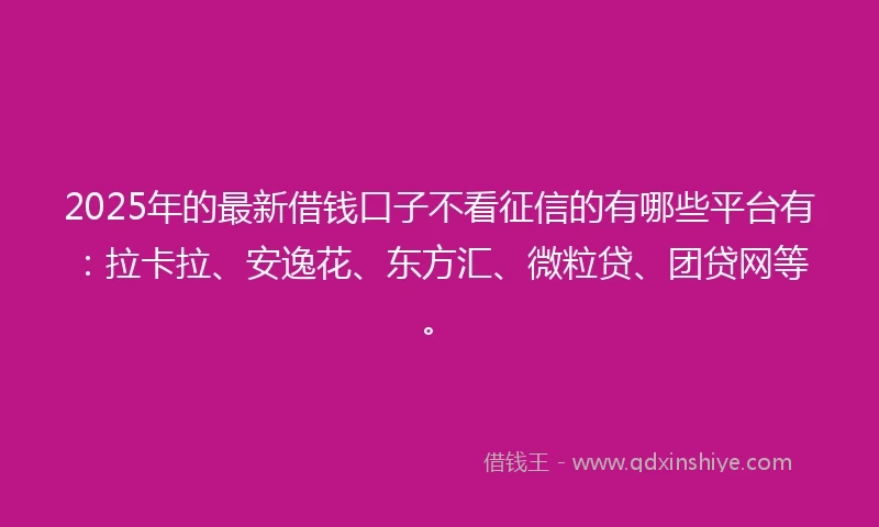 2025年的最新借钱口子不看征信的有哪些平台有：拉卡拉、安逸花、东方汇、微粒贷、团贷网等。