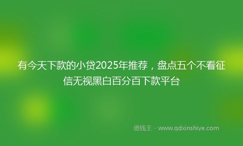 有今天下款的小贷2025年推荐，盘点五个不看征信无视黑白百分百下款平台