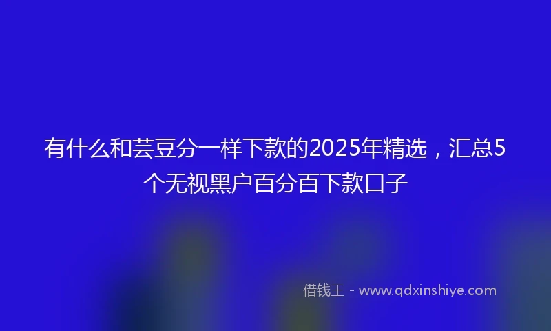 有什么和芸豆分一样下款的2025年精选，汇总5个无视黑户百分百下款口子