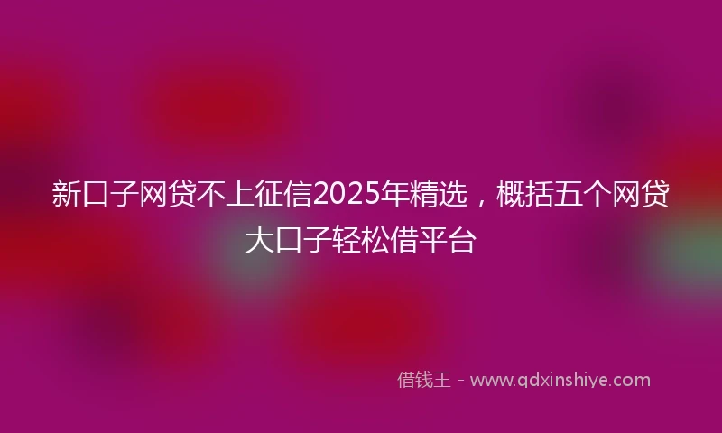 新口子网贷不上征信2025年精选，概括五个网贷大口子轻松借平台