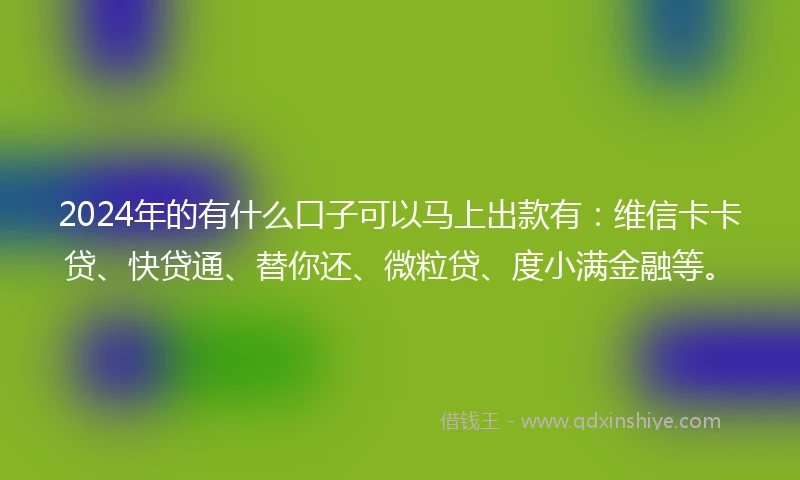 2024年的有什么口子可以马上出款有：维信卡卡贷、快贷通、替你还、微粒贷、度小满金融等。