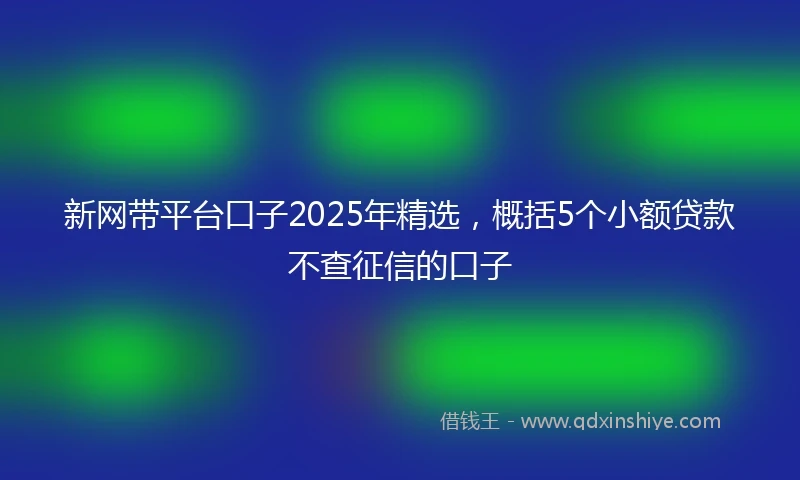新网带平台口子2025年精选，概括5个小额贷款不查征信的口子