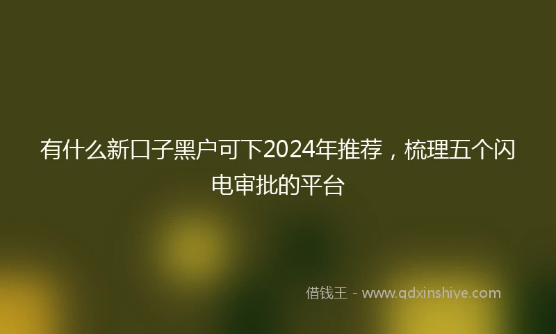 有什么新口子黑户可下2024年推荐，梳理五个闪电审批的平台