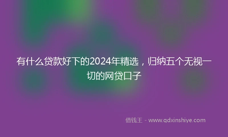 有什么贷款好下的2024年精选，归纳五个无视一切的网贷口子