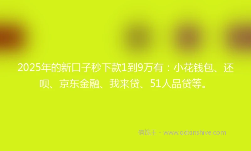 2025年的新口子秒下款1到9万有：小花钱包、还呗、京东金融、我来贷、51人品贷等。